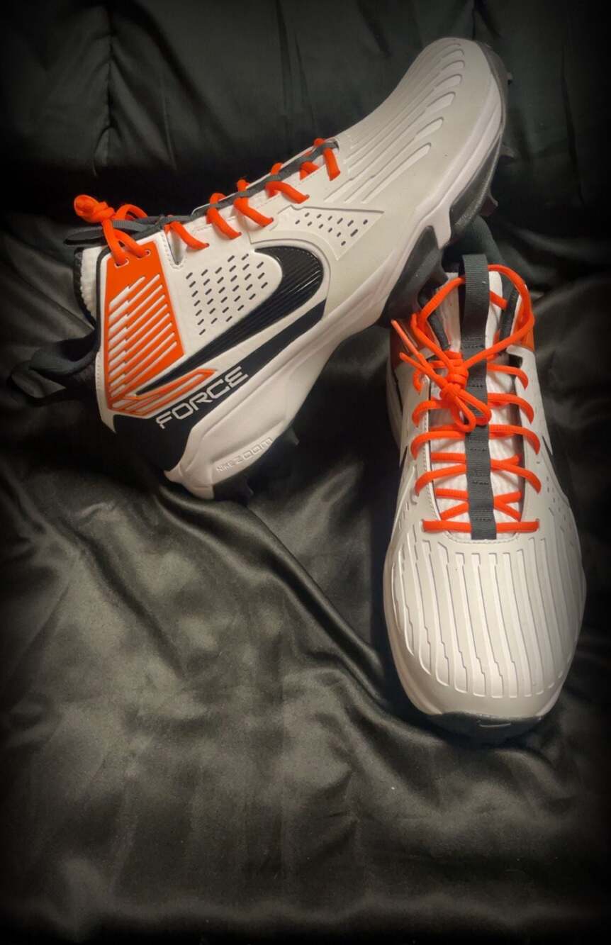 Nike Force Savage Pro 3 Shark Clemson Tigers Football Cleats FJ8163-106